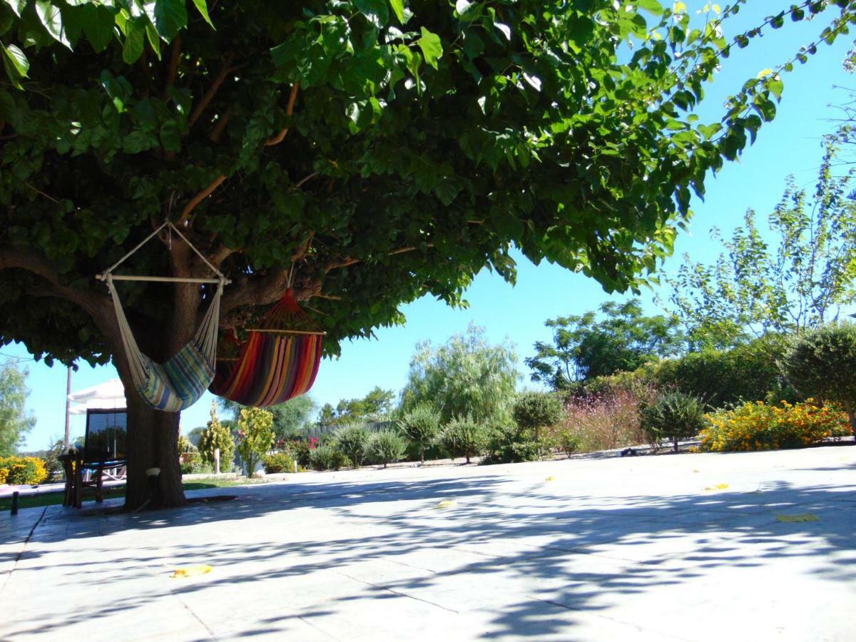 פליראקי Villa Dora מראה חיצוני תמונה